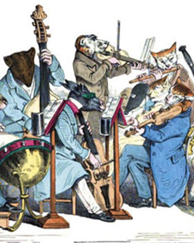 carnevale_animali